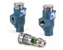 Cartridge Safety Relief Valve (CSRV)